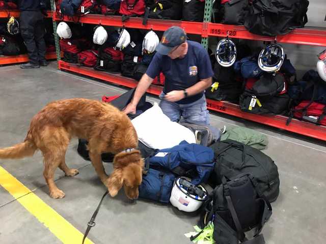 Part of IN Task Force 1 returns from Hurricane Harvey Part of IN Task Force 1 returns from Hurricane Harvey